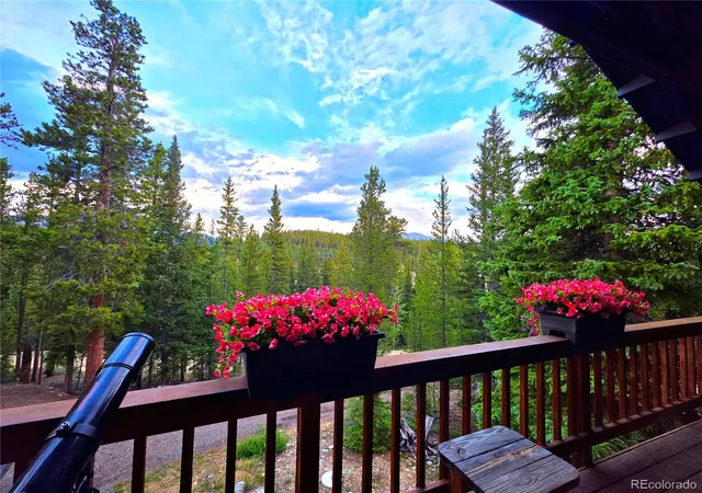 Homes for sale in Alma, CO | 211 Pine Ridge Rd, Alma, CO 80420 | MLS# 9265826