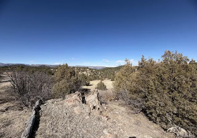 3rd image of 91 King Pl, Cotopaxi, CO 81223 | MLS# 5775172