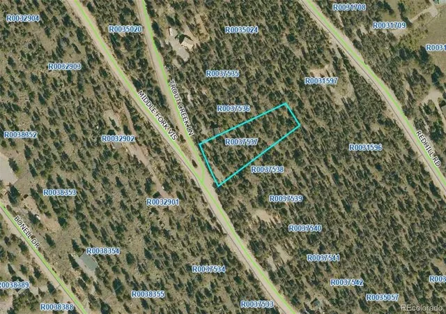 Homes for sale in Fairplay, CO | 806 Middle Fork Vis, Fairplay, CO 80440 | MLS# 3264504