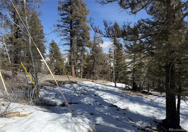 Homes for sale in Fairplay, CO | 806 Middle Fork Vis, Fairplay, CO 80440 | MLS# 3264504