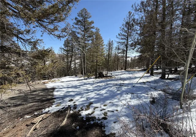Homes for sale in Fairplay, CO | 806 Middle Fork Vis, Fairplay, CO 80440 | MLS# 3264504