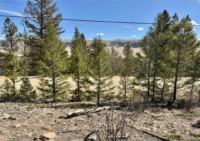 Homes for sale in Fairplay, CO | 2601 Redhill Rd, Fairplay, CO 80440 | MLS# 8833906