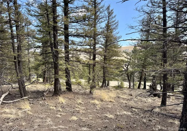 Homes for sale in Fairplay, CO | 2601 Redhill Rd, Fairplay, CO 80440 | MLS# 8833906