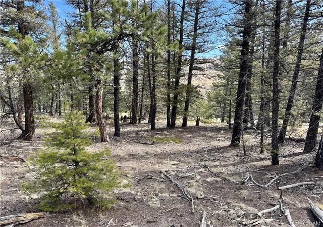 Homes for sale in Fairplay, CO | 2601 Redhill Rd, Fairplay, CO 80440 | MLS# 8833906