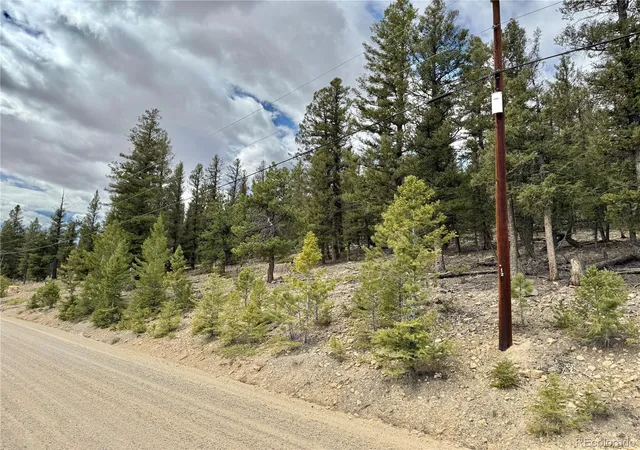 Homes for sale in Fairplay, CO | 2601 Redhill Rd, Fairplay, CO 80440 | MLS# 8833906