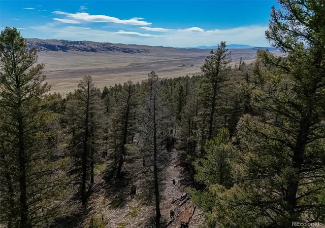 Homes for sale in Fairplay, CO | 2601 Redhill Rd, Fairplay, CO 80440 | MLS# 8833906