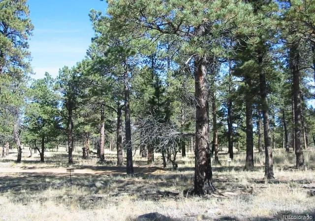 Homes for sale in Pine, CO | 14794 Wetterhorn Peak Trl, Pine, CO 80470 | MLS# 3437150