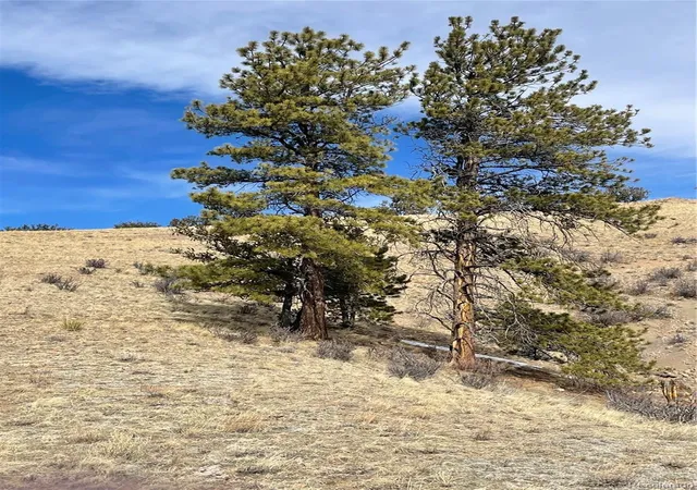 Photo 4 of Land for sale at Antelope Rd, Hartsel, CO 80449 | MLS# 5701595 | Listing updated on 2026-09-26