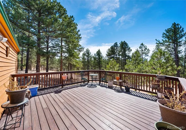 Homes for sale in Florissant, CO | 1299 Pikes Peak Dr, Florissant, CO 80816 | MLS# 2603656
