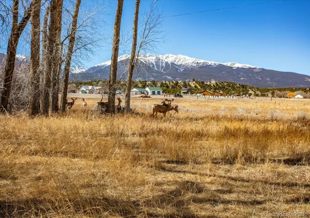 Photo 4 of Land for sale at 29571 County Rd 350a, Buena Vista, CO 81211 | MLS# 2966086 | Listing updated on 2026-07-21