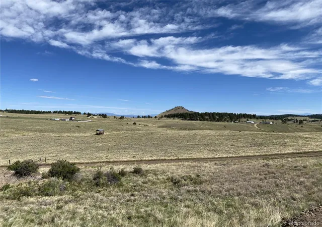 4th image of County Road 341, Westcliffe, CO 81252 | MLS# 5287690