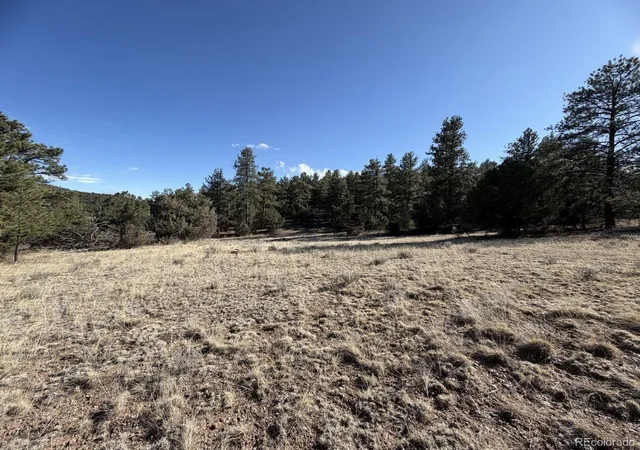 5th image of 000 Canyon Rd, Cotopaxi, CO 81223 | MLS# 9106099