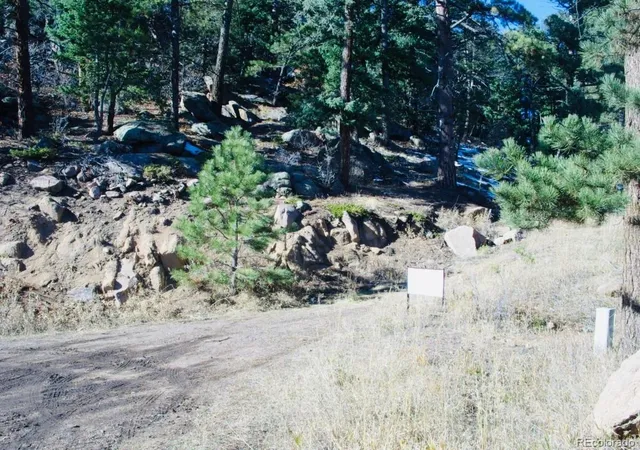 Homes for sale in Morrison, CO | 22076 High Springs Trl, Morrison, CO 80465 | MLS# 4227387