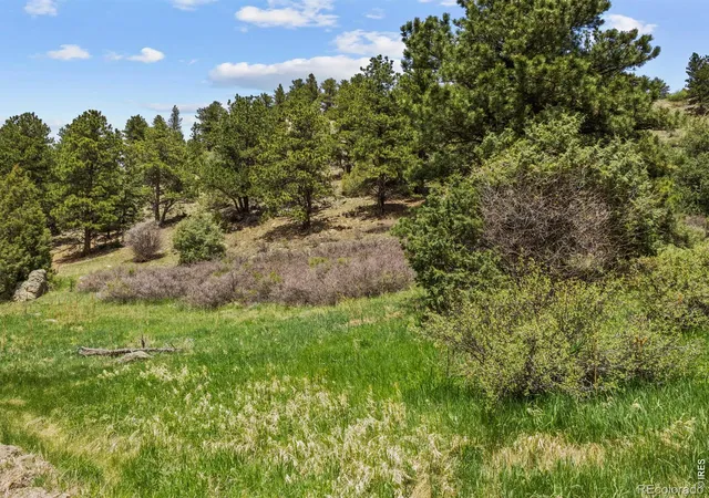 Homes for sale in Glen Haven, CO | Dunraven Glade Rd, Glen Haven, CO 80532 | MLS# IR1054390