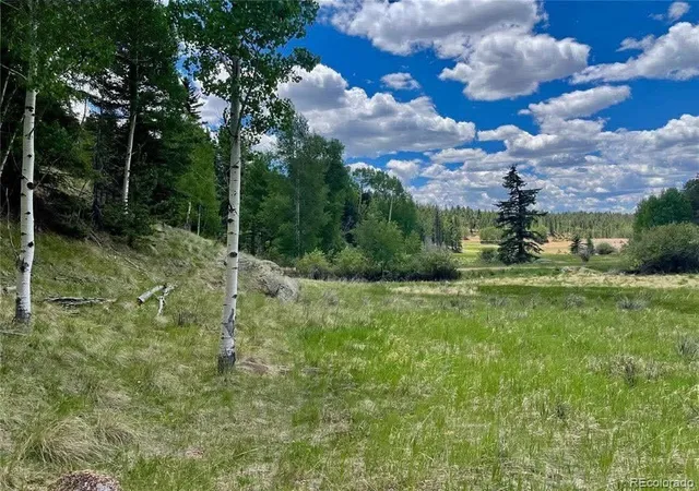 Homes for sale in Florissant, CO | 458 Arrowhead Rd, Florissant, CO 80816 | MLS# 2862280