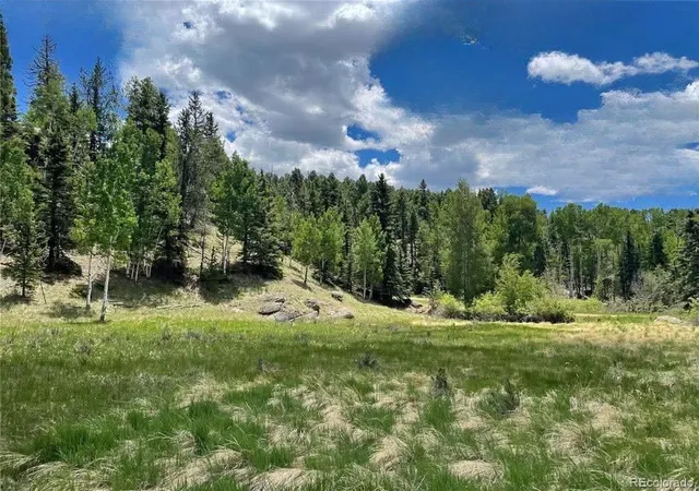 Homes for sale in Florissant, CO | 458 Arrowhead Rd, Florissant, CO 80816 | MLS# 2862280
