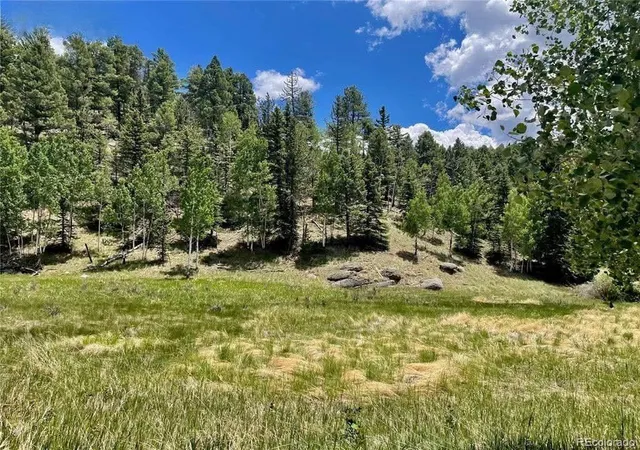 Homes for sale in Florissant, CO | 458 Arrowhead Rd, Florissant, CO 80816 | MLS# 2862280