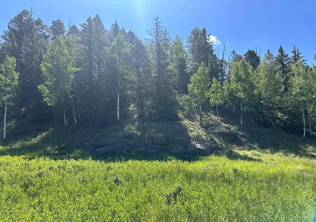 Homes for sale in Florissant, CO | 458 Arrowhead Rd, Florissant, CO 80816 | MLS# 2862280