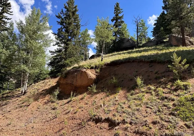 Homes for sale in Florissant, CO | 458 Arrowhead Rd, Florissant, CO 80816 | MLS# 2862280
