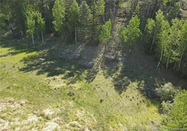 Homes for sale in Florissant, CO | 458 Arrowhead Rd, Florissant, CO 80816 | MLS# 2862280