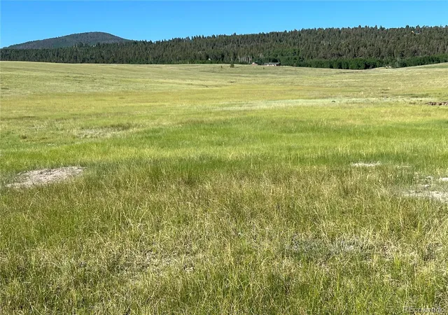 Photo 27 of Land for sale at 3 Ranch, Hartsel, CO 80449 | MLS# 9922922 | Listing updated on 2026-07-31
