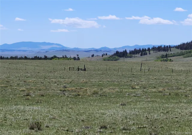 8th image of 2232 Cr 5, Fairplay, CO 80440 | MLS# 3066936