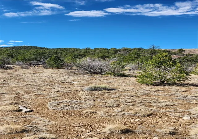 3rd image of Tbd L I Path, Cotopaxi, CO 81223 | MLS# 9157493