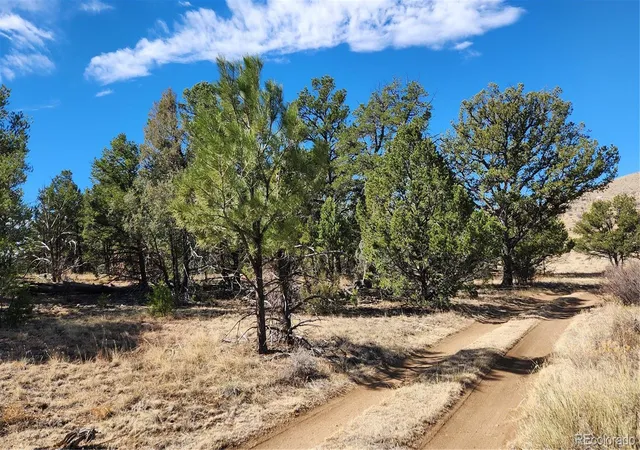 4th image of Tbd L I Path, Cotopaxi, CO 81223 | MLS# 9157493