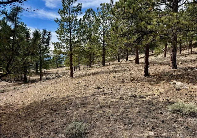 28th image of 142 La Plata Peak Dr, Twin Lakes, CO 81251 | MLS# 4648052