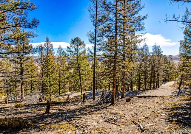 Photo 3 of Land for sale at 2623 Redhill Rd, Fairplay, CO 80440 | MLS# 7824219 | Listing updated on 2026-08-24
