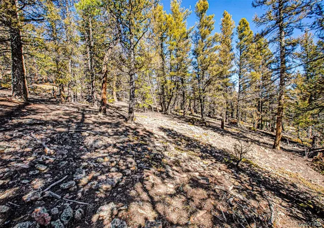 Photo 3 of Land for sale at 2623 Redhill Rd, Fairplay, CO 80440 | MLS# 7824219 | Listing updated on 2026-08-24