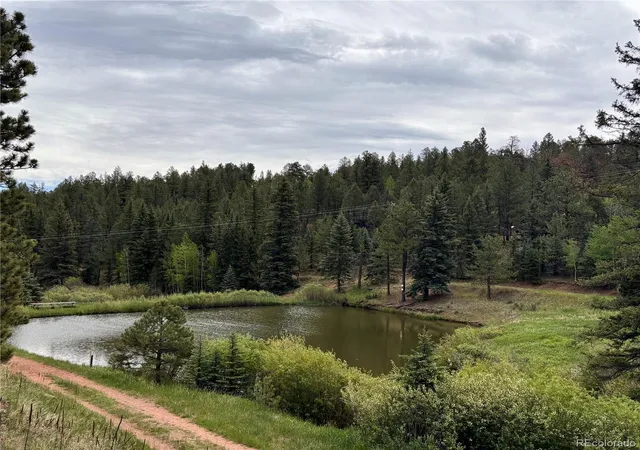 35th image of 12447 S Danny Ave, Pine, CO 80470 | MLS# 8554046