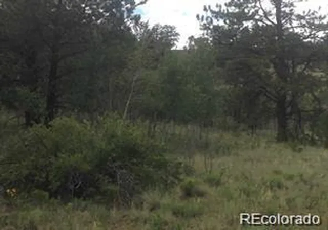 Photo 1 of Land for sale at 1681 Athapascan Rd, Hartsel, CO 80449 | MLS# 1658233 | Listing updated on 2026-03-23