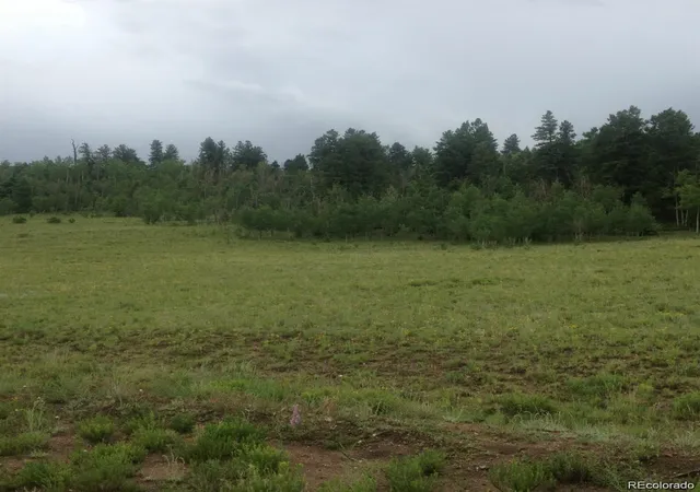 Photo 2 of Land for sale at 1681 Athapascan Rd, Hartsel, CO 80449 | MLS# 1658233 | Listing updated on 2026-03-23