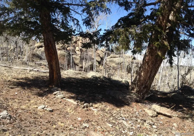Photo 3 of Land for sale at 1681 Athapascan Rd, Hartsel, CO 80449 | MLS# 1658233 | Listing updated on 2026-03-23
