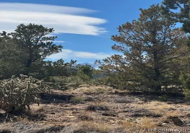 15th image of L29 30 B2 Orlando's Wy, Walsenburg, CO 81089 | MLS# 5749762
