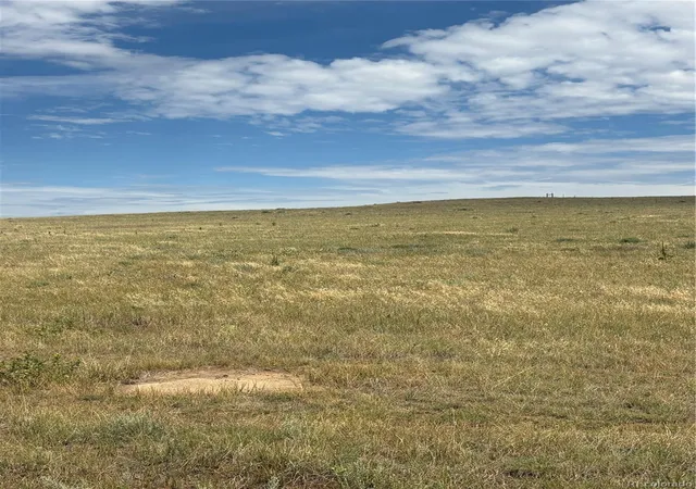 11th image of 41466 Way Of Goodness, Deer Trail, CO 80105 | MLS# 8535009