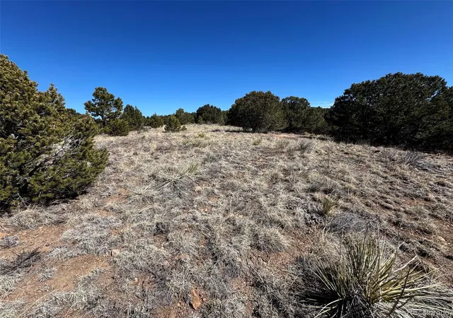 2nd image of 415 Kiowa Rd, Westcliffe, CO 81252 | MLS# 2508639
