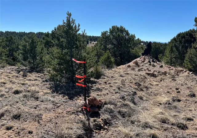 3rd image of 415 Kiowa Rd, Westcliffe, CO 81252 | MLS# 2508639