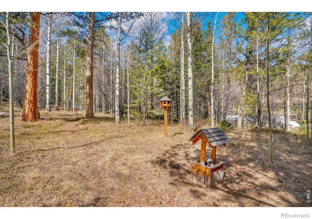 Photo 3 of Single family home for sale at 251 Haugen Slide Rd, Allenspark, CO 80510 | MLS# IR1054504 | Listing updated on 2026-10-23