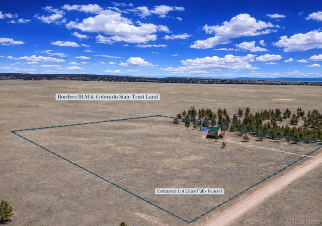 Homes for sale in Fairplay, CO | 431 Rudisill St, Fairplay, CO 80440 | MLS# 3733998