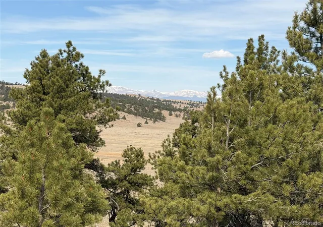 Photo 2 of Land for sale at 990 Coyotero Trl, Hartsel, CO 80449 | MLS# 5150814 | Listing updated on 2026-09-21