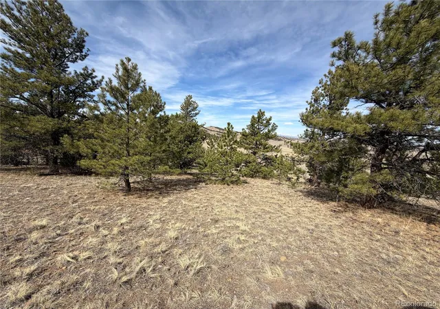 Photo 4 of Land for sale at 990 Coyotero Trl, Hartsel, CO 80449 | MLS# 5150814 | Listing updated on 2026-09-21