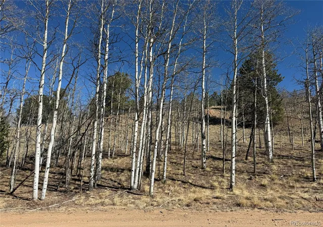 Photo 4 of Land for sale at 615 Caracara Ln, Como, CO 80432 | MLS# 8880288 | Listing updated on 2026-03-26