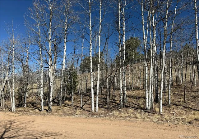 Photo 5 of Land for sale at 615 Caracara Ln, Como, CO 80432 | MLS# 8880288 | Listing updated on 2026-03-26