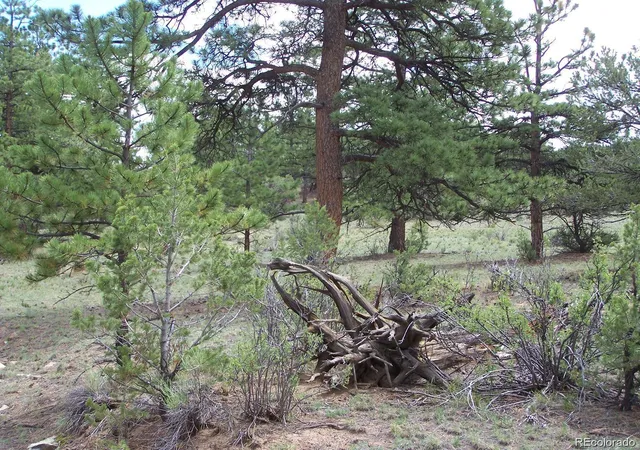 Photo 32 of Land for sale at Lot 8 Big Sandy Estaes, Buena Vista, CO 81211 | MLS# 8633982 | Listing updated on 2026-03-25