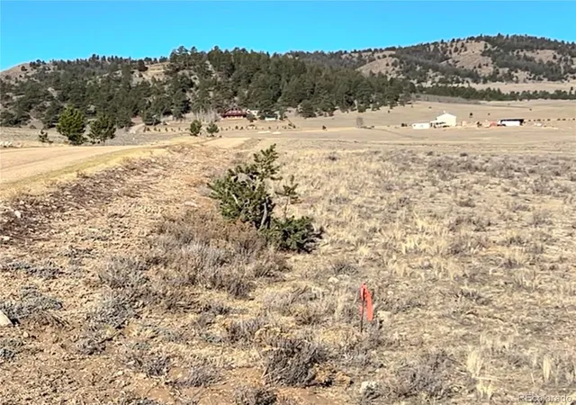 Photo 4 of Land for sale at 4284 Goldenberg Cyn Rd, Hartsel, CO 80449 | MLS# 2338784 | Listing updated on 2026-10-16