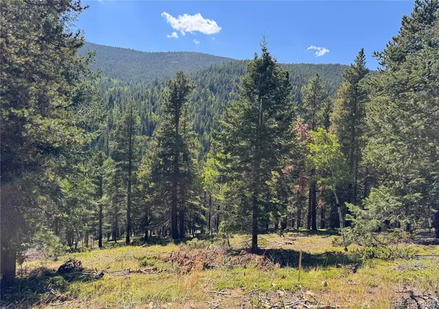Homes for sale in Idaho Springs, CO | 0 Blue Bell Ln, Idaho Springs, CO 80452 | MLS# 8678268