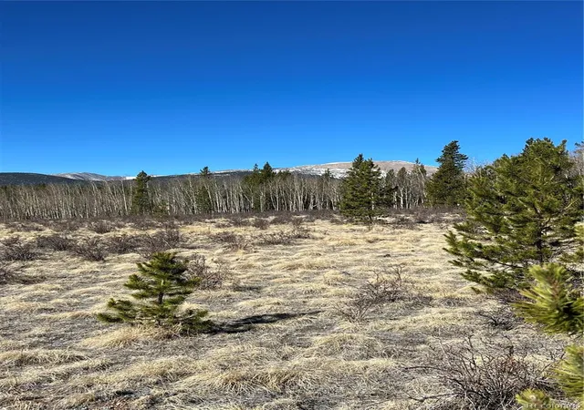 4th image of 247 Thickspike, Fairplay, CO 80440 | MLS# 2108075
