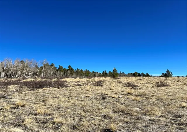 5th image of 247 Thickspike, Fairplay, CO 80440 | MLS# 2108075